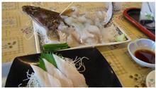 房総ツーリング まごちの活造りと太刀魚の刺身、、美味かった！７節