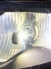 いつの間にか傷の続き（笑）