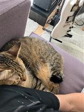 初外出