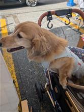 乗り換えとLFM
