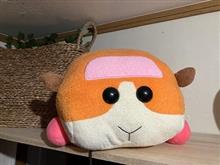 モルカ～