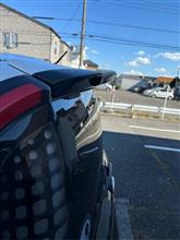 やっとアホ毛が生えました。
