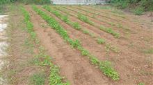 【秘密基地諫早ベース】 「ぐんぐんと」