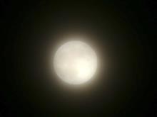 今宵はハンターズムーン（スーパームーン）🌕
