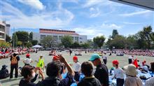 Lちゃん最後の運動会