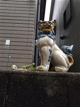 カメラ目線