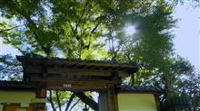 初号様と行く 洛陽三十三個所 ～④～