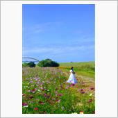 コスモスアリーナふきあげ　圧 ...