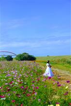 コスモスアリーナふきあげ　圧巻の景色