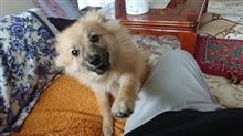 (* ̄▽ ̄)フフフッ♪ (* ̄▽ ̄)フフフッ♪