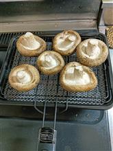 しいたけ🍄‍🟫を焼いて食べたい🤤