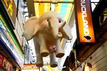 西荻窪にて上品なとんかつを