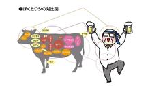 ふしぎなほぉおるもん　舌・食道・胃・小腸・大腸・直腸・子宮
