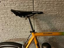 『自転車、どっちにするか？』問題