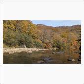 見頃を迎えた葛根田渓流の紅葉 ...