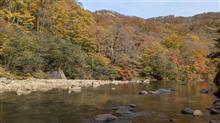 見頃を迎えた葛根田渓流の紅葉撮影