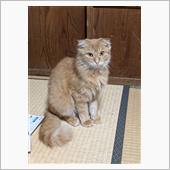 高級感漂う佇まいだけど、元ノ ...