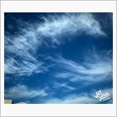 風が冷たい火曜日の朝