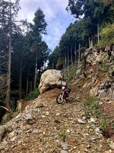 教えてもらった山県の林道ツーリング