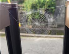 スパイダー