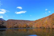 東北紅葉狩り旅行 その②、蔦沼、奥入瀬、十和田湖