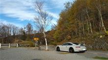 911と遊ぶ　紅葉を見に出掛けたら地獄を見た