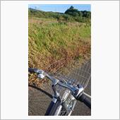 久しぶりの自転車