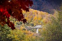 せせらぎ街道から平湯大滝、そして新穂高ロープウェイへ紅葉見物してきました🍁