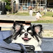 ほのぼの三連休