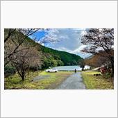 山口観光案内(青い池)