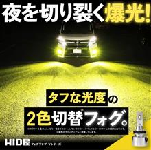 見ちゃいけないものを見てしまった(･･;)