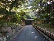 喝入れ走行と邸園散歩