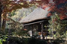 湯西川に紅葉を見に