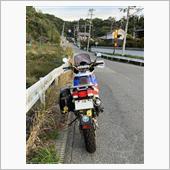 燃料コスパ