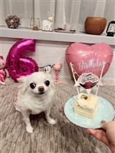 6回目のHappy birthday😆