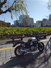 リターン元年度