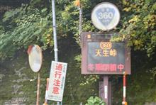 [速報版 !]　秋の富山・岐阜巡り　(2024 .11)