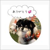 8君　天国へ旅立ちました　　 ...