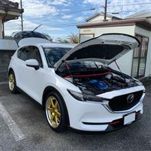 【令和6年34回目】洗車日和( &#180;-` )