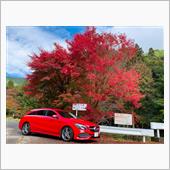 The last autum ...
