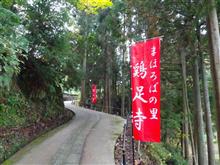 鶏足寺・石道寺を散策しました！　～2024年紅葉狩り～