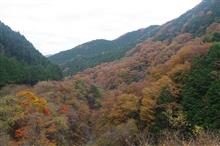 なんとなく紅葉を見に（？）
