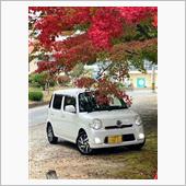今年の紅葉は・・・。
