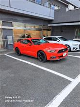 マスタング車検入庫後ピンチ😵💦2024.11.17～18