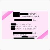 ランクインしたよ