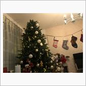 クリスマスツリーを出したよ