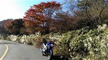 プチツーにて♪紅葉観に行こうヨー てか💦