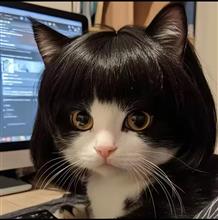 ブラックフライデー　アリエク