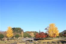宮ケ瀬湖畔の紅葉