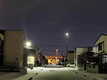 2024初冬/出張から帰ると雪